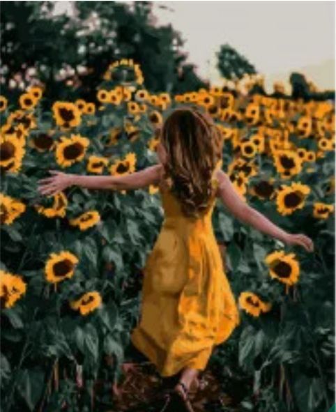 Картина за номерами Дівчина серед соняшників