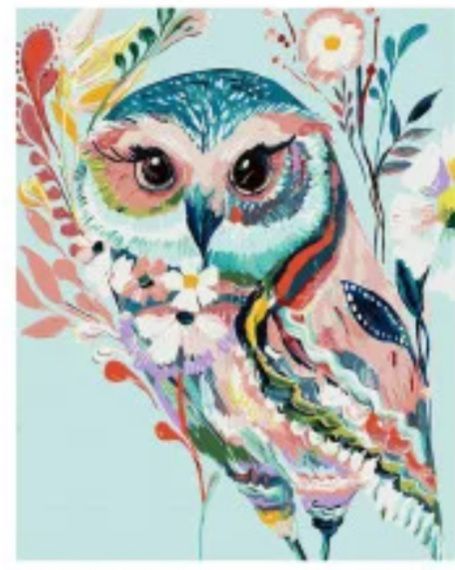 Картина за номерами Різнокольорова сова