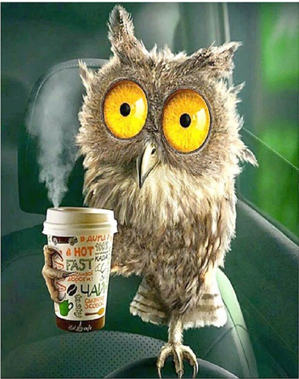 Алмазна мозаїка Ранкова кава