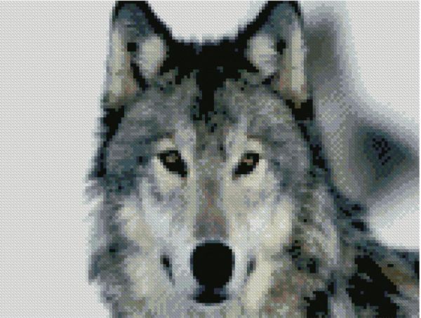 Алмазна мозаїка Гарний вовк
