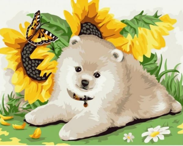 Набір для розпису по номерах Песик з соняшниками