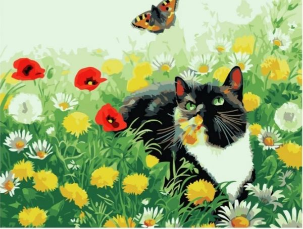 Набір для розпису по номерах Котик у полі квітів