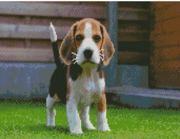 Алмазна картина Маленький Бігль