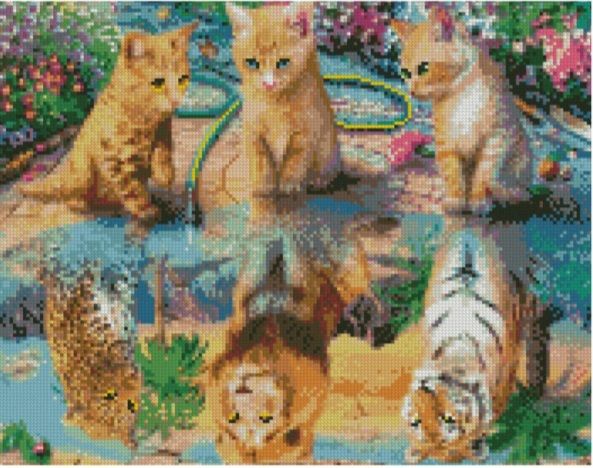 Алмазна картина Відображення душі