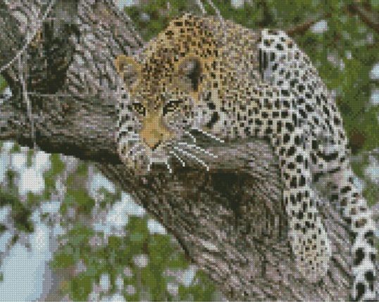 Алмазна картина Леопард на дереві