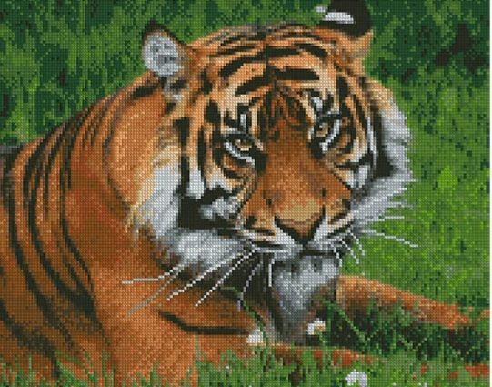 Алмазна картина  Суворий тигр