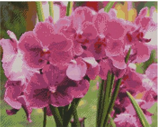 Алмазна картина Яскраві орхідеї