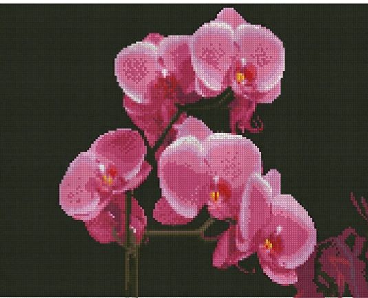 Алмазна картина Рожеві орхідеї