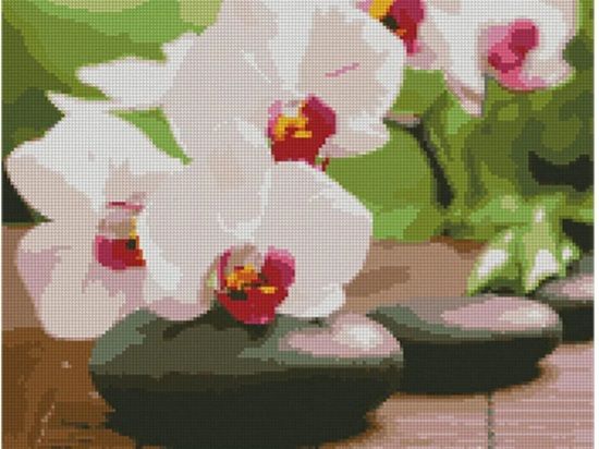 Алмазна картина Орхідея на камінцях