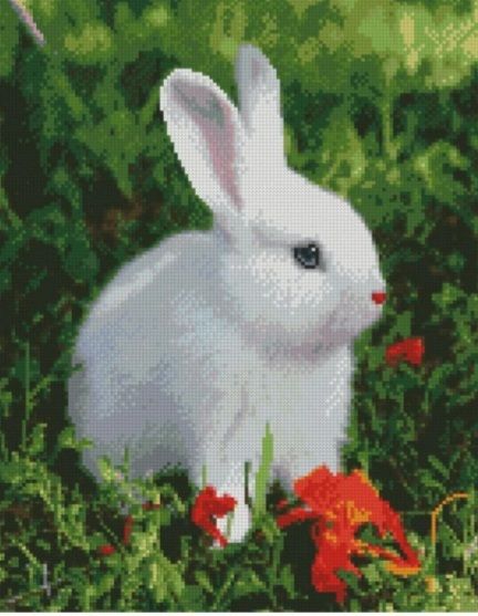Алмазна картина Білий зайчик