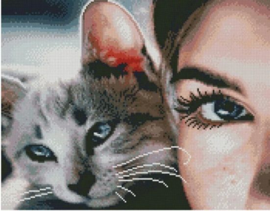 Алмазна картина Кицька-друг
