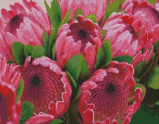 Алмазна картина  Яскраво рожеві протеї