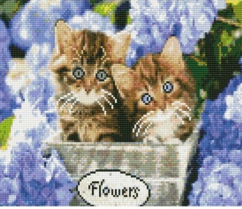 Алмазна мозаїка Кошенята у гортензії