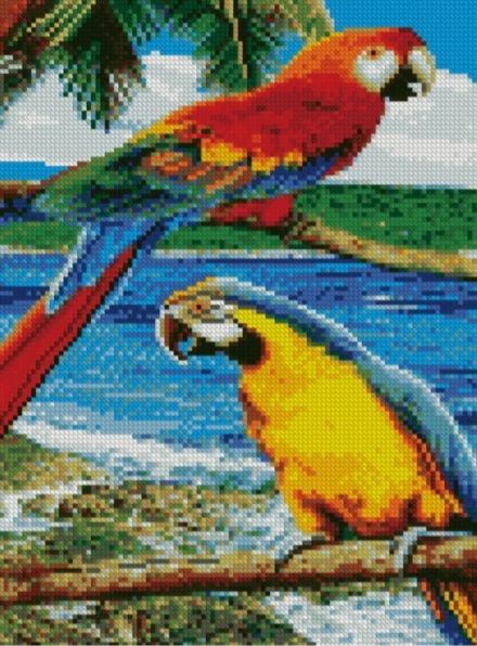 Алмазна мозаїка Папуги на пляжі