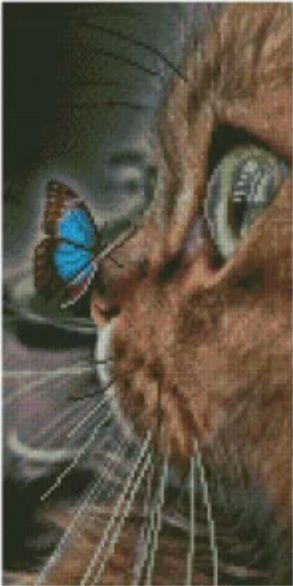 Алмазна мозаїка  Метелик та кошеня