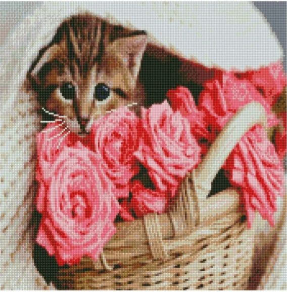 Алмазна мозаїка  Котик у кошику