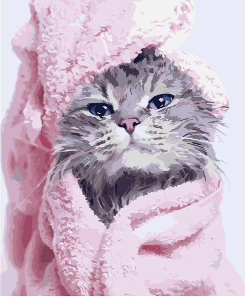 Картина за номерами Викупаний котик