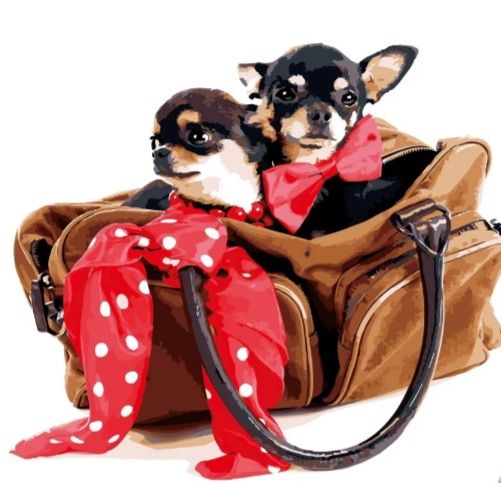 Картина за номерами Маленькі той-тер'єри