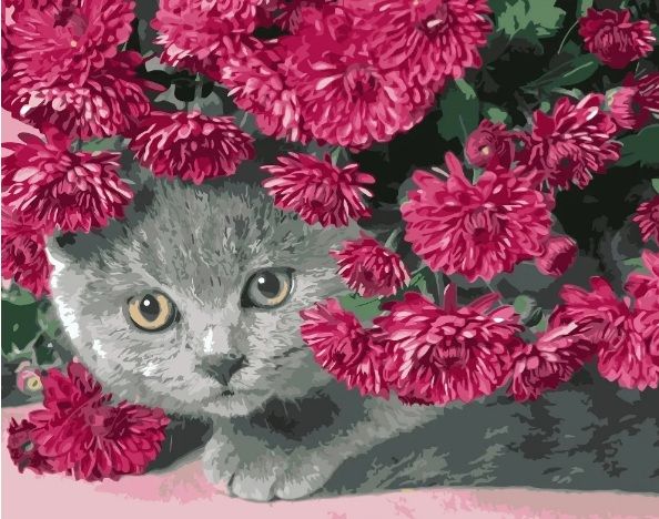 Картина за номерами Сірий кіт в кольорах