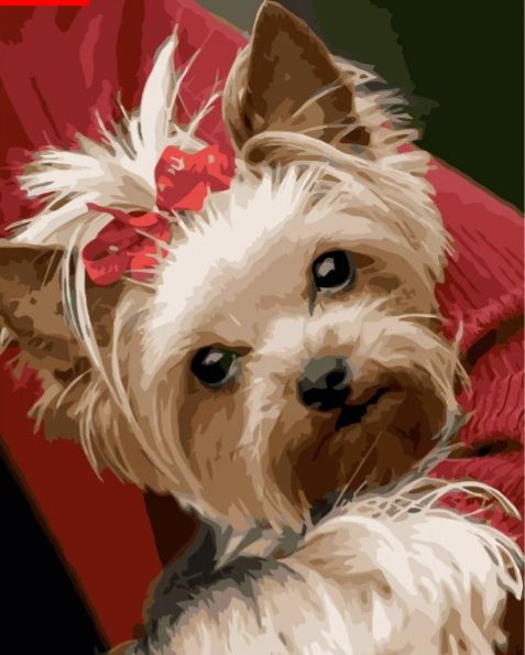 Картина за номерами Песик з хвостиком