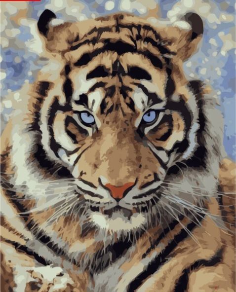 Картина за номерами Погляд хижака