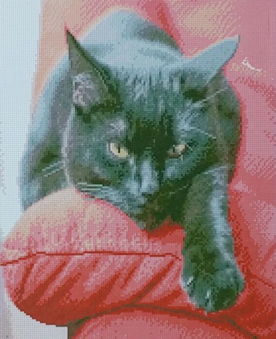 Алмазна картина Чорний кіт