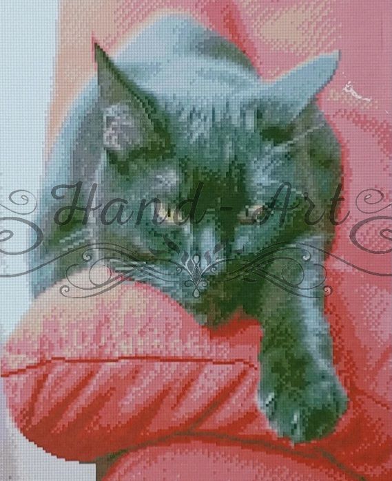 Алмазна картина Чорний кіт