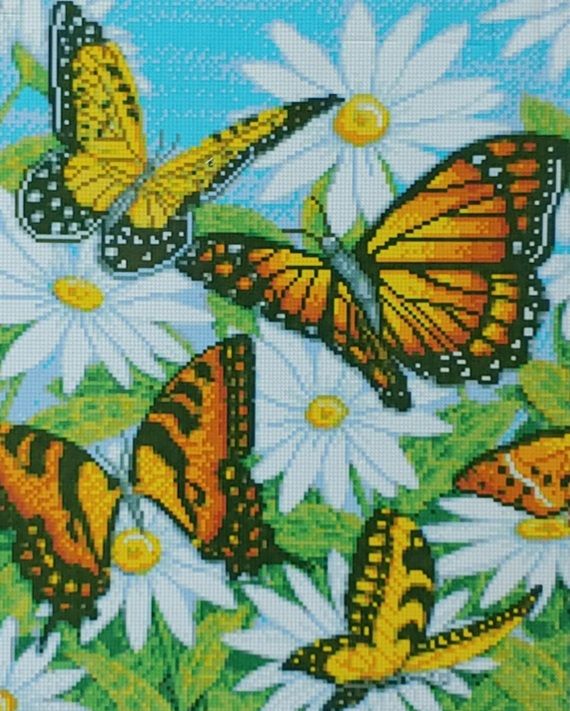 Алмазна картина Метелики в ромашках