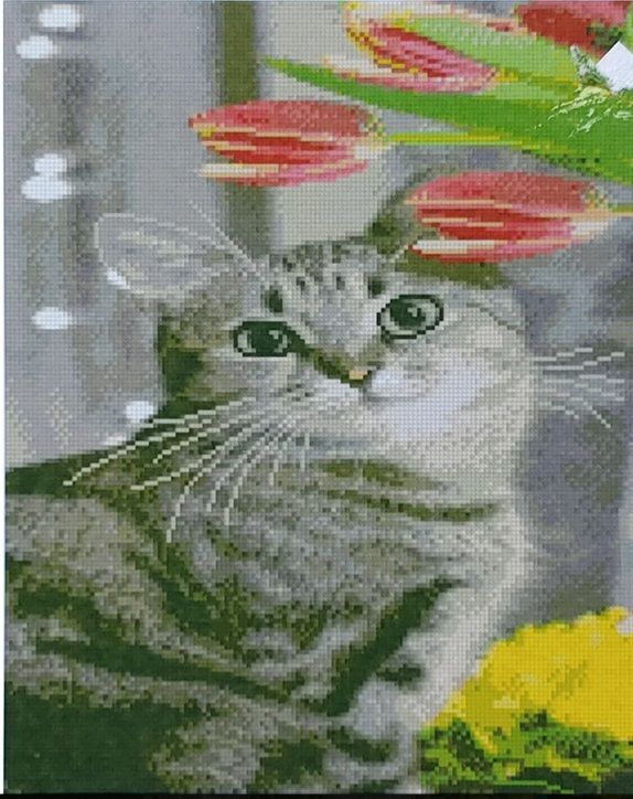Алмазна картина Милий котик