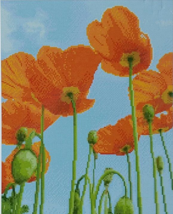 Алмазна картина Маки у небі