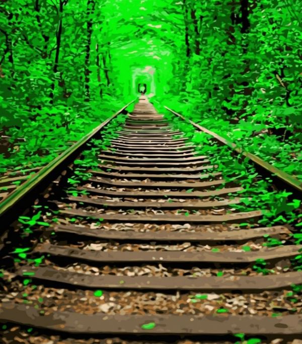 Картина за номерами Тунель кохання