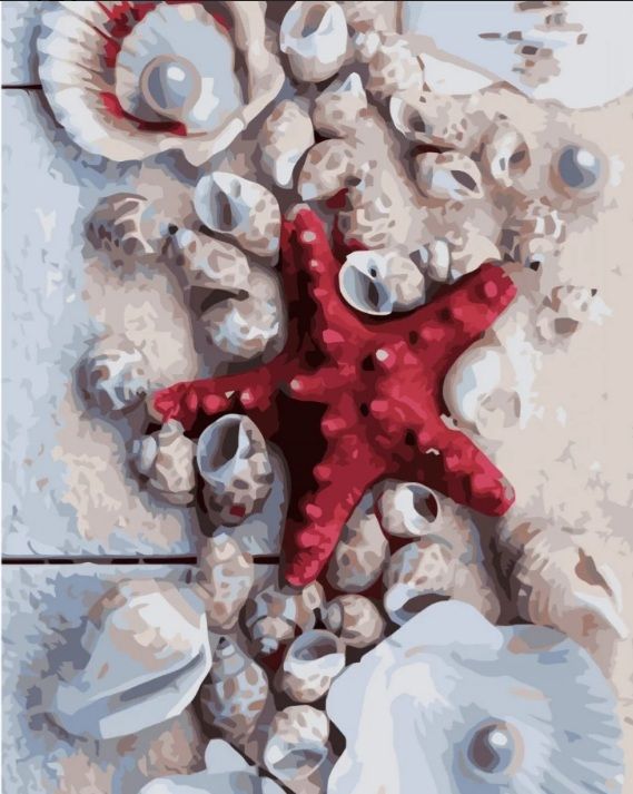 Картина за номерами Червона морська зірка