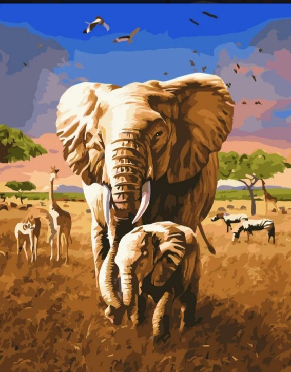 Картина за номерами  Жителі Африки