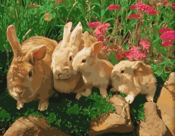 Картина за номерами Сім'я зайчиків