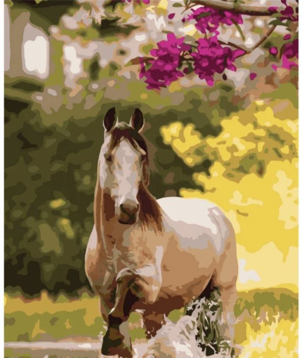 Картина за номерами Скакун біля квітів