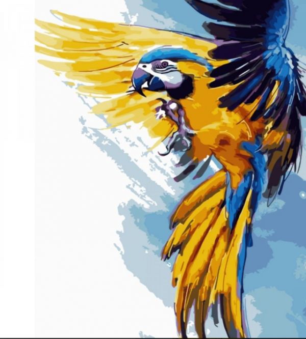 Картина за номерами Жовто-синя папуга