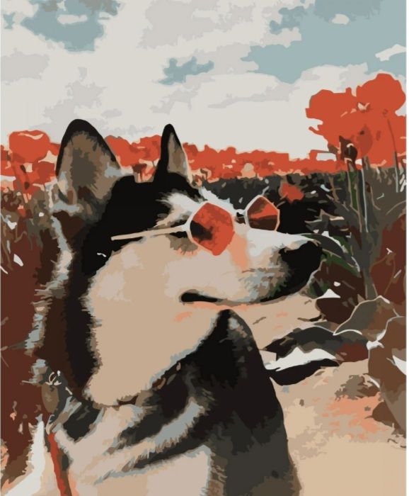 Картина за номерами Хаскі влітку