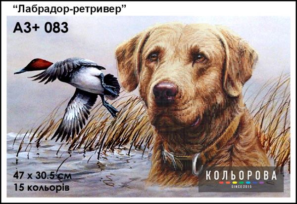 Схема для вишивки Лабрадор-ретривер Схема для вишивки Лабрадор-ретривер