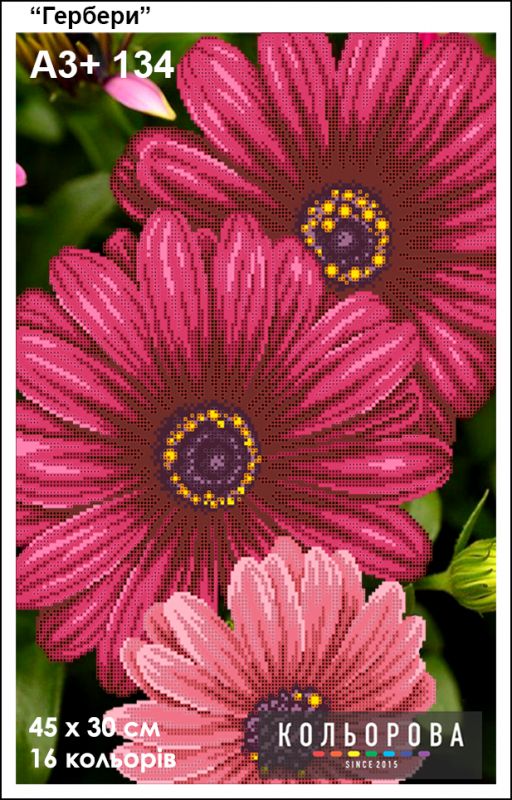 Схема для вишивки  Гербери Схема для вишивки  Гербери