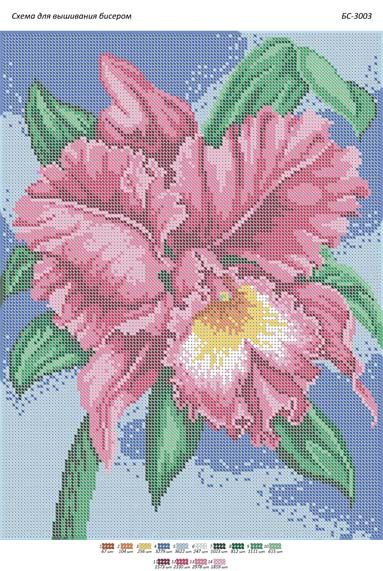 Схема для вишивки Орхідея Схема для вишивки Орхідея