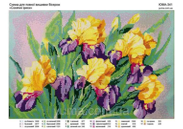 Схема для вишивки часткова Іриси Схема для вишивки часткова Іриси