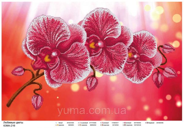Схема для вишивки  Орхідея червона Схема для вишивки  Орхідея червона