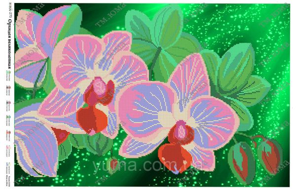 Схема для вишивки Орхідея 1 Схема для вишивки Орхідея 1