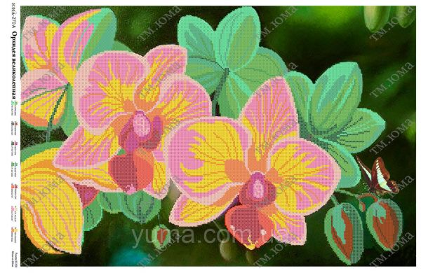 Схема для вишивки Орхідея 2 Схема для вишивки Орхідея 2