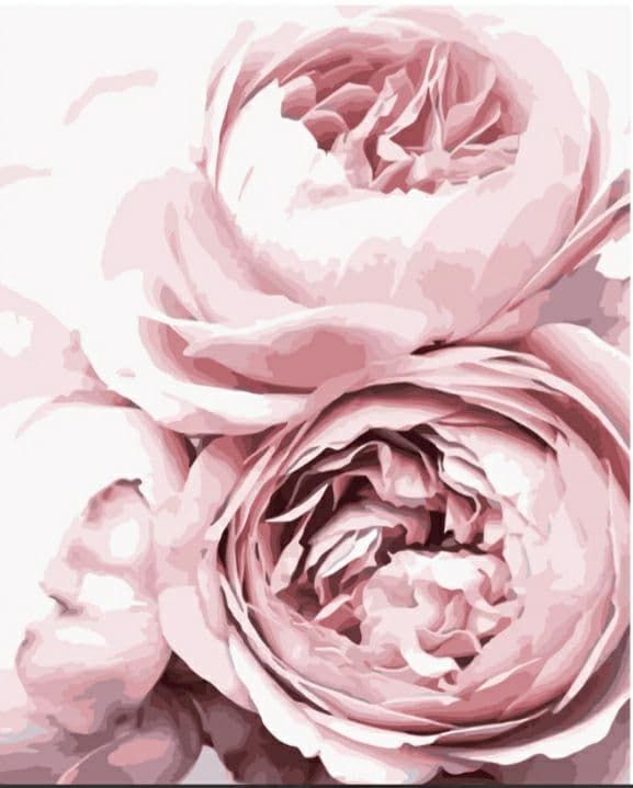 Картина за номерами Рожеві півонії