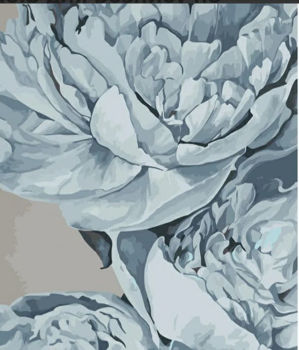 Картина за номерами Блакитні півонії