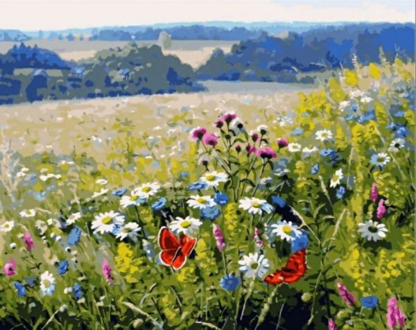 Картина за номерами Польові квіти