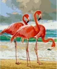 Картина за номерами Три фламінго
