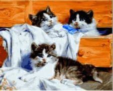 Картина за номерами Маленькі кошенята