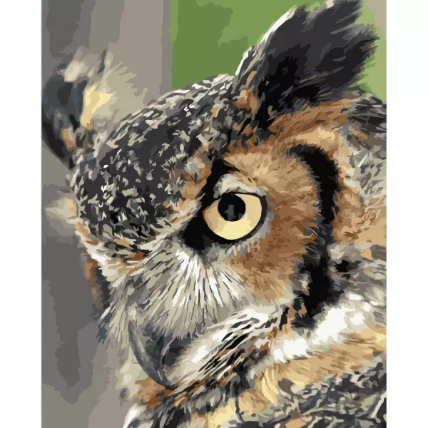 Картина за номерами Мудра сова
